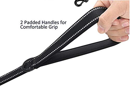 Heavy Duty Dog Leash - 2 Handles by Padded Traffic Handle for Extra Control, 6foot Long - Perfect for Medium to Large Dogs