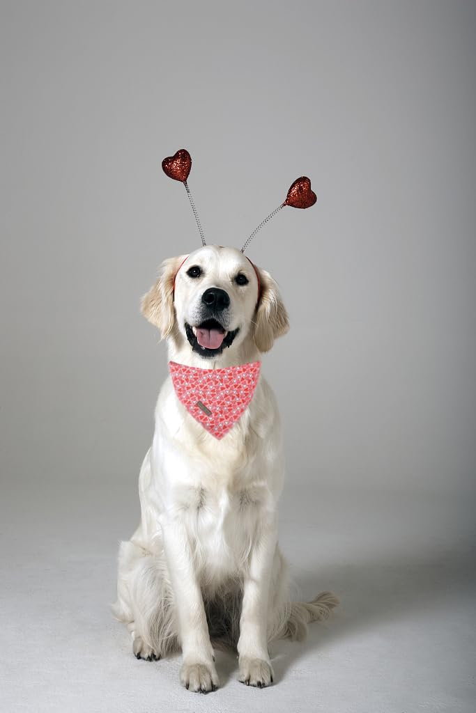 Paws Dog Bandana for Small Medium Large Dogs, Cat Kerchief Blue DOIT, Triangle Bibs Scarf for Girl or Boy