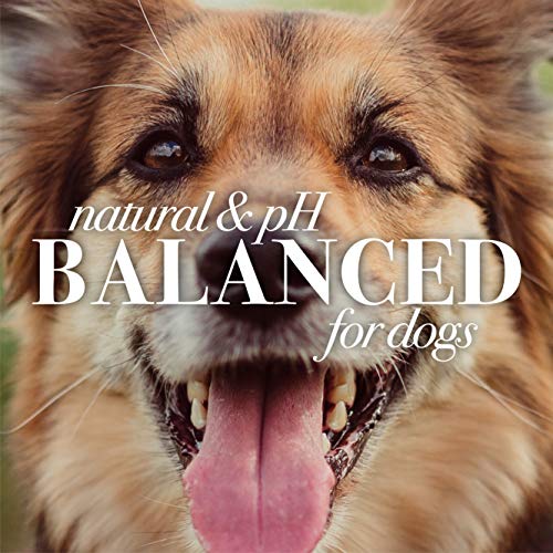 Burt's Bees for Pets Oatmeal Dog Conditioner with Colloidal Oat Flour & Honey - Soothing Relief Conditioner for Dogs, Gentle Dog Hair Conditioner for Oatmeal Bath, Grooming Supplies, 10 Fl Oz