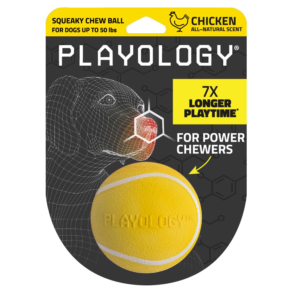 Playology Dog Toys | Squeaky Chew Ball - Bouncy Durable Floating Fetch Ball for Dogs | Medium Sweet Potato Scented Toy - Easy to Clean and Made from Non Toxic Materials