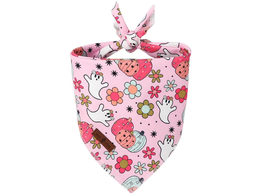 Paws Dog Bandana for Small Medium Large Dogs, Cat Kerchief Blue DOIT, Triangle Bibs Scarf for Girl or Boy