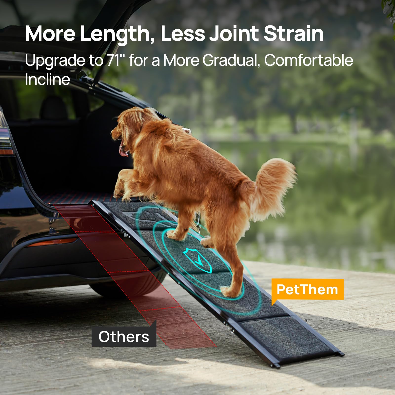 Dog Ramp for Car 63" Long & 17" Wide Portable Dog Ramps for Large Dogs with Non-Slip Rug Surface Dog Car Ramp for SUV Car & Truck, Folding Dog Ramp Up to 250LBS