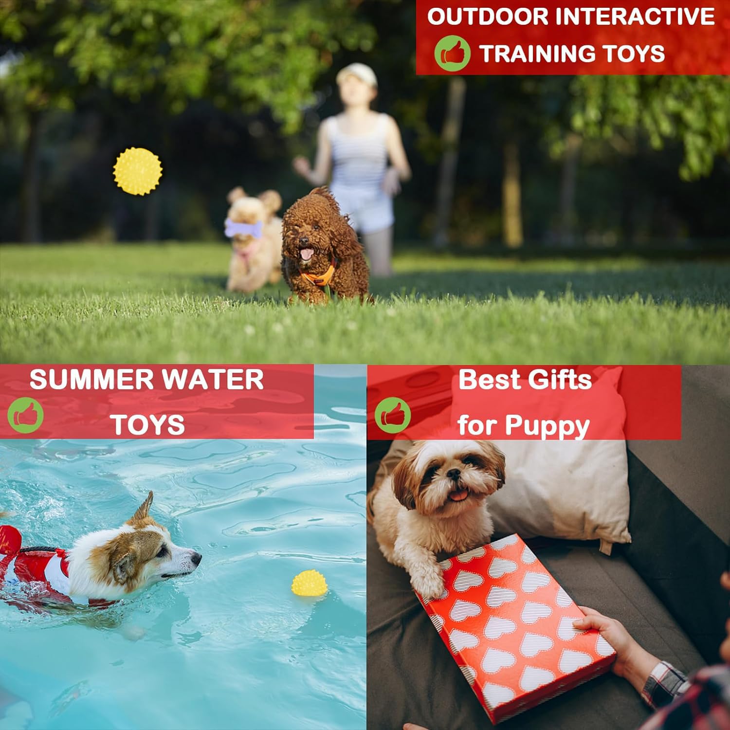 6 Pack Red Dog Chew Toys, Small Dog Teething Toys, Dental Health & Interactive Play