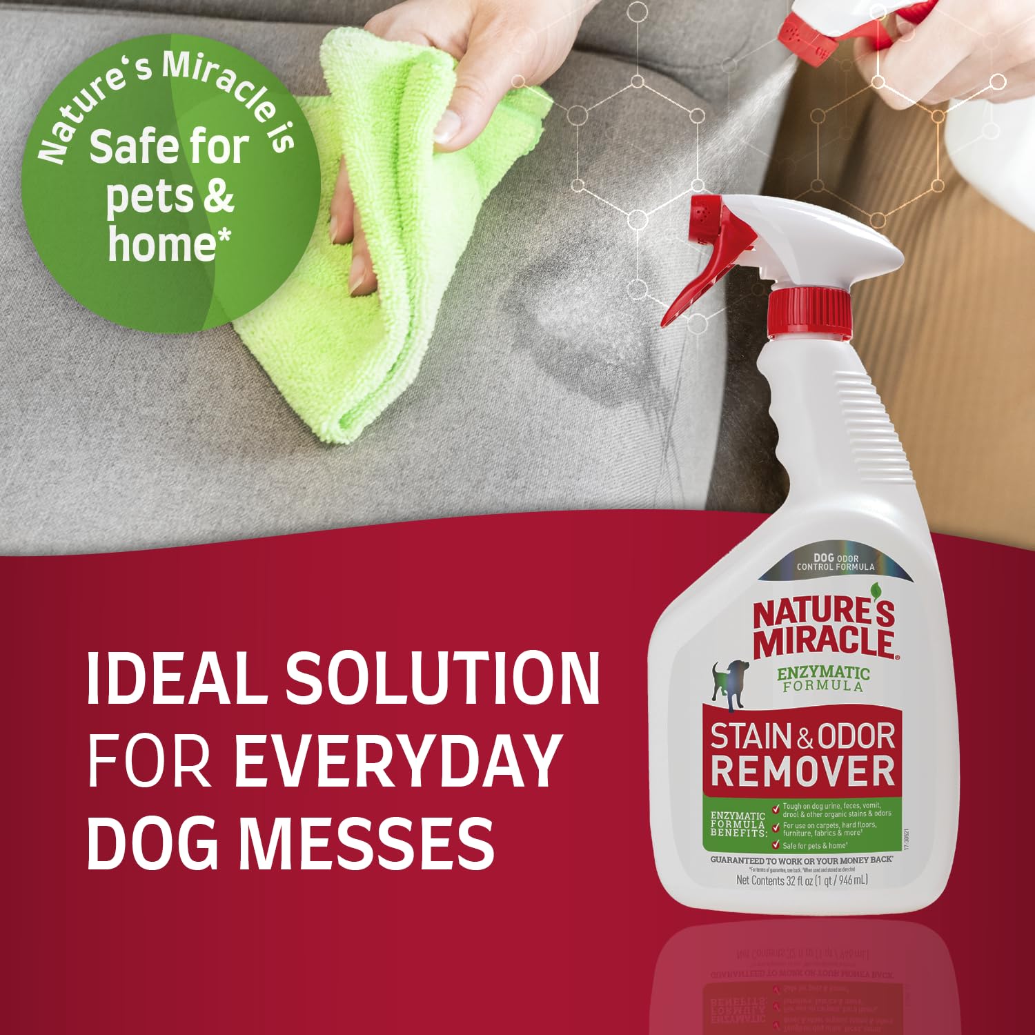 Nature’s Miracle Stain and Odor Remover Dog, 32 Ounces, Everyday Mess Enzymatic Odor Control Formula