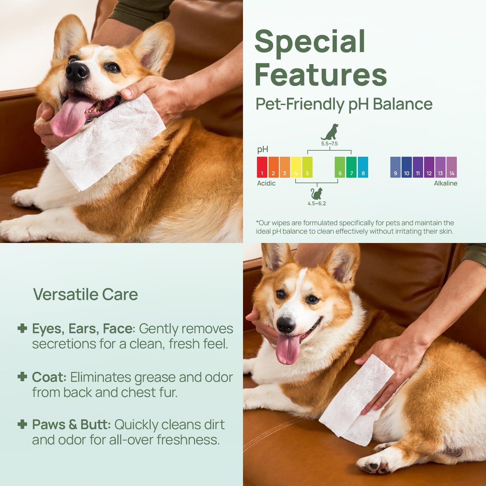 HICC PET Wipes for Dogs & Cats, Cleansing Deodorizing & Soothing Allergy Infections Anal Gland Pets Wipes with Coconut Oil - Dog Grooming Wipes for Butt and Paw - Hypoallergenic & Vet Recommended