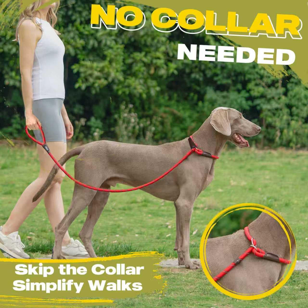Durable Slip Lead Dog Leash, Heavy Duty Dog Loop Leashes, Comfortable Strong Rope Slip Leash for Large Medium Dogs, No Pull Pet Training Lead with Highly Reflective