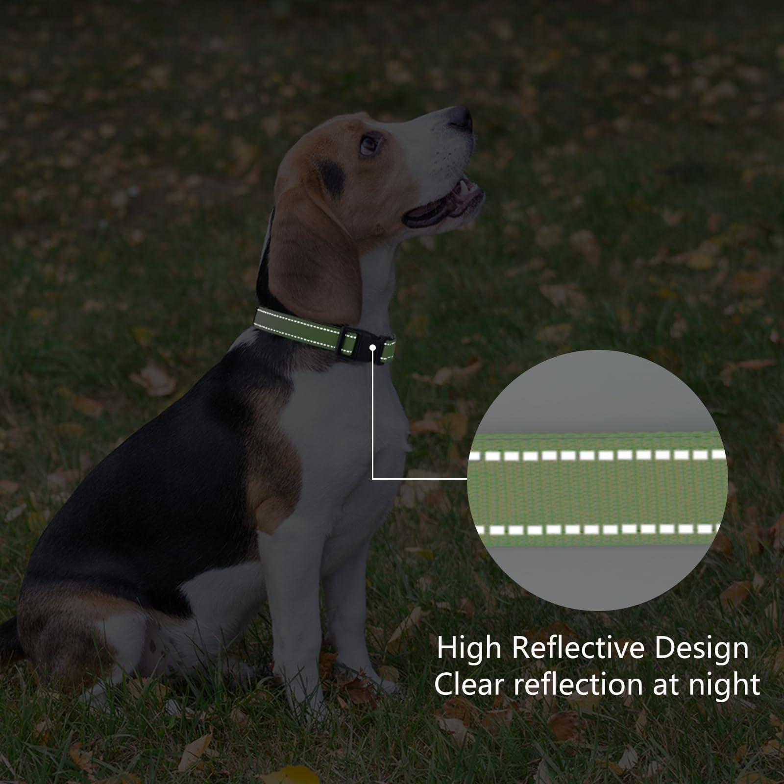 Reflective Dog Collar Padded with Soft Neoprene Breathable Quick Release Basic Dog Collars