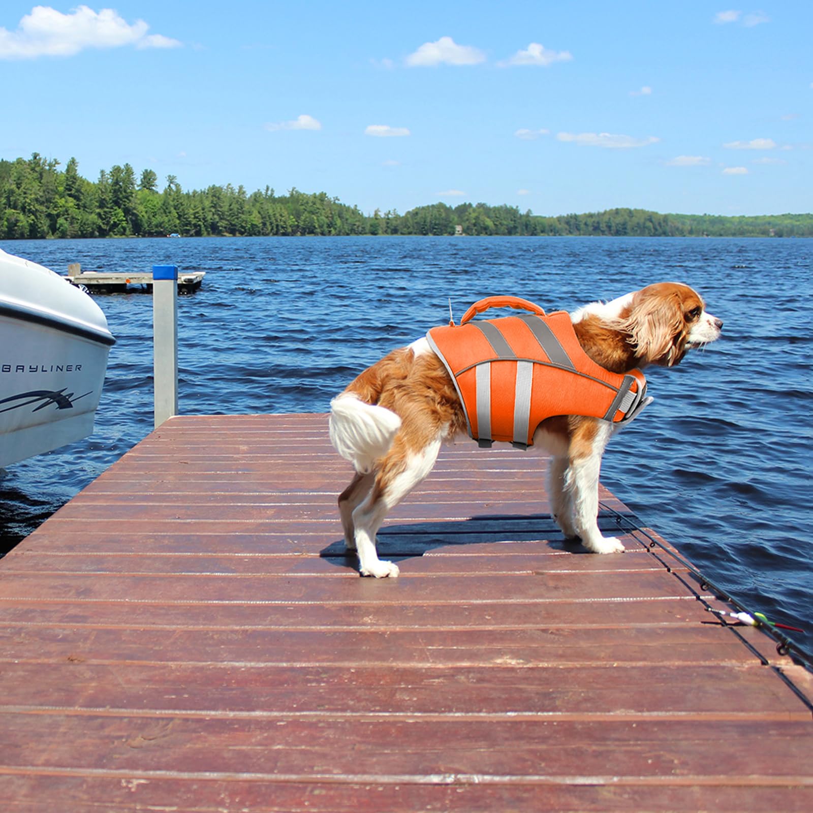 Dog Life Jacket with Reflective Stripes - Adjustable High Visibility Vest, Ripstop Lifesaver, Pet Preserver with High Flotation Swimsuit