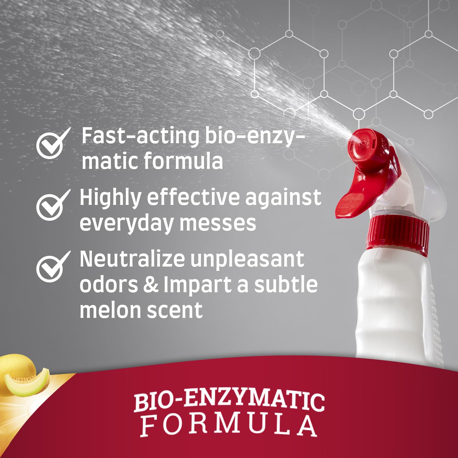 Nature’s Miracle Stain and Odor Remover Dog, 32 Ounces, Everyday Mess Enzymatic Odor Control Formula