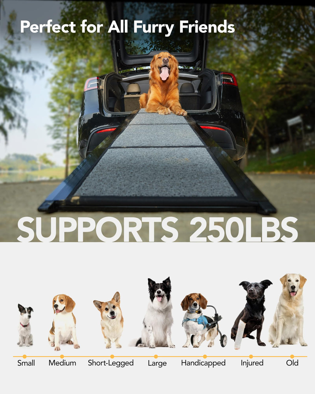 Dog Ramp for Car 63" Long & 17" Wide Portable Dog Ramps for Large Dogs with Non-Slip Rug Surface Dog Car Ramp for SUV Car & Truck, Folding Dog Ramp Up to 250LBS