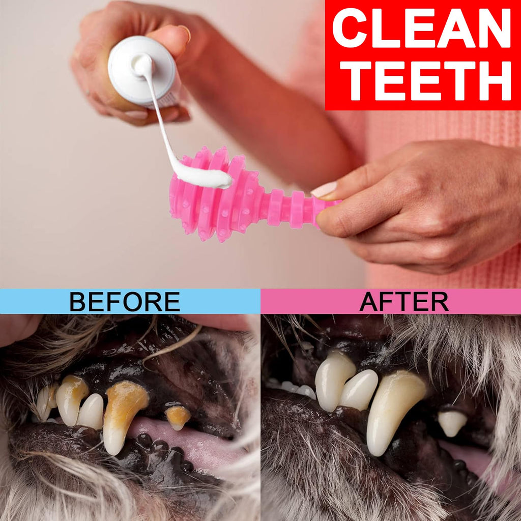 6 Pack Red Dog Chew Toys, Small Dog Teething Toys, Dental Health & Interactive Play