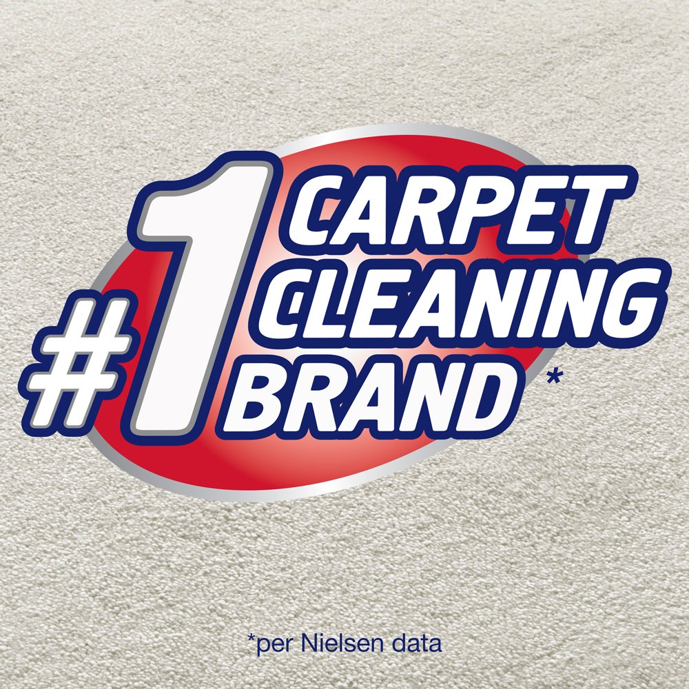 Resolve Pet Expert Stain and Odor Remover, Carpet Cleaner, Pet Stain and Odor Remover, Carpet & Upholstery Cleaner - Removes Stains and Odors, 22 oz