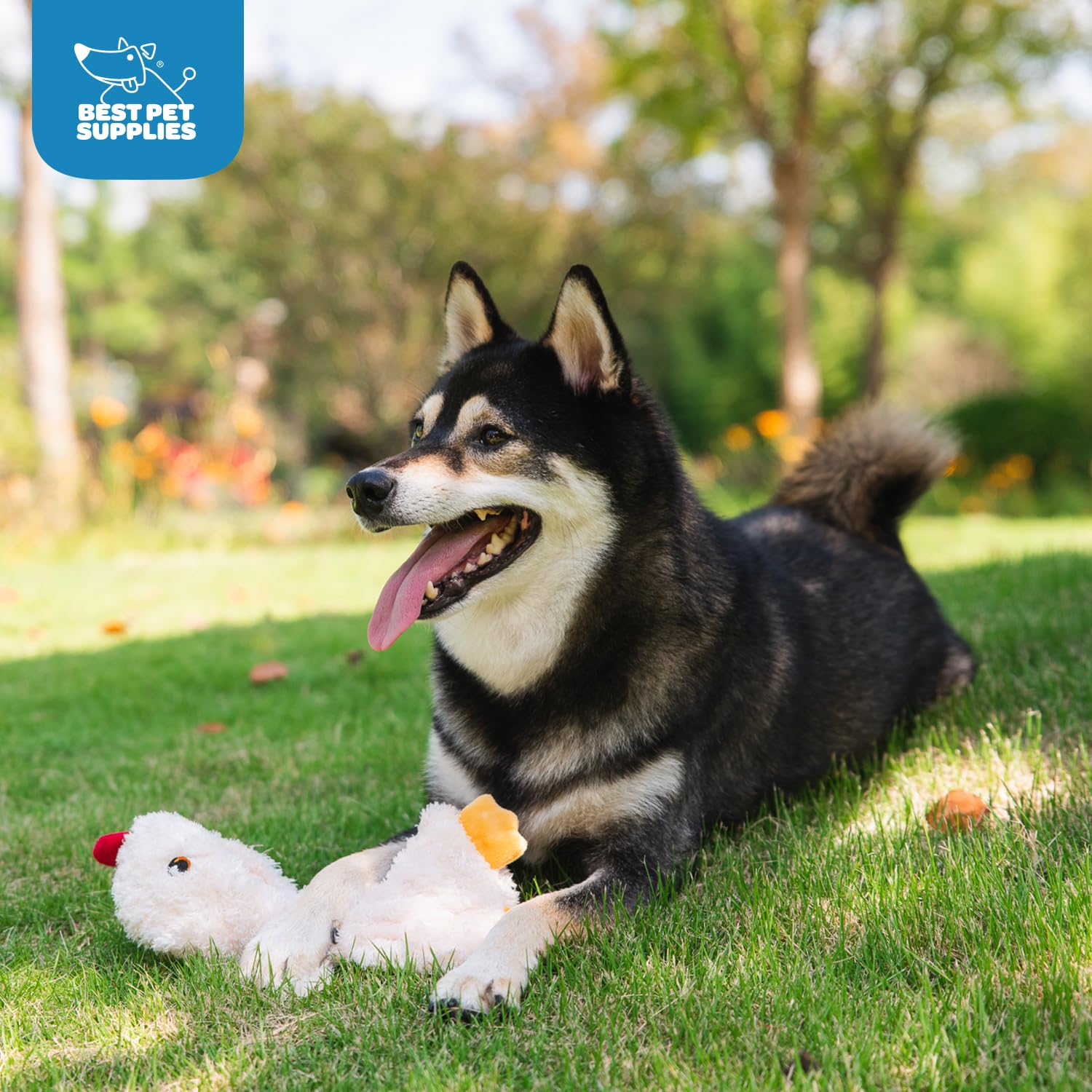 Interactive Squeaky Dog Chew Toy, Ideal Dog Toys for Chewers, Small, Medium & Large Dogs, and Fetch Lovers - Crinkle Chicken (Brown, Beige, Wine Red), Large