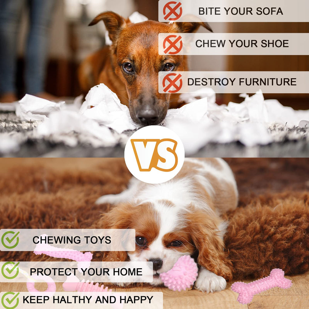 6 Pack Red Dog Chew Toys, Small Dog Teething Toys, Dental Health & Interactive Play