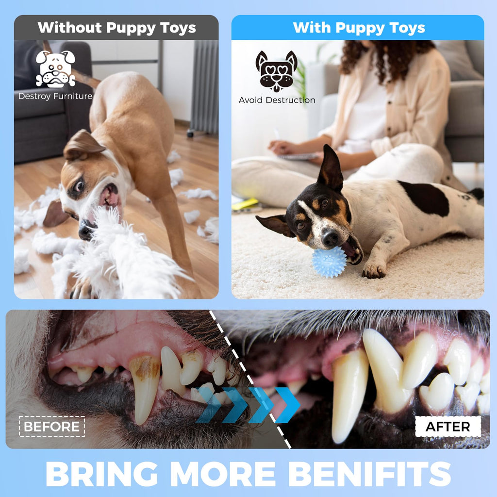 6 Pack Red Dog Chew Toys, Small Dog Teething Toys, Dental Health & Interactive Play