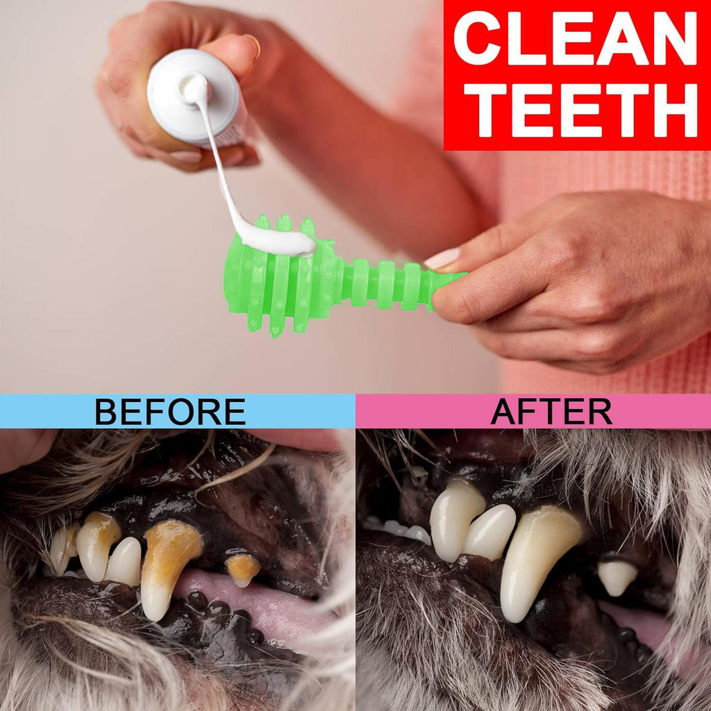 6 Pack Red Dog Chew Toys, Small Dog Teething Toys, Dental Health & Interactive Play