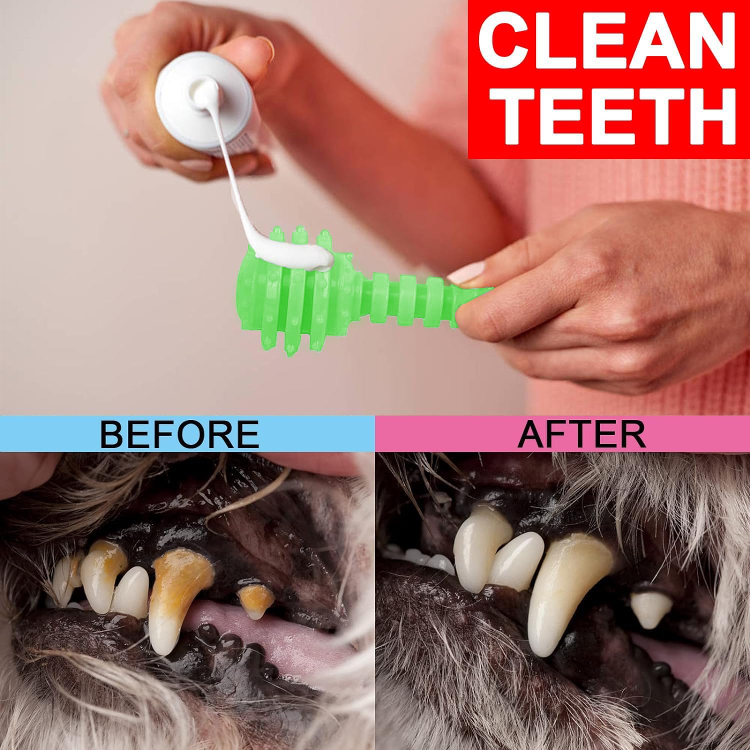 6 Pack Red Dog Chew Toys, Small Dog Teething Toys, Dental Health & Interactive Play