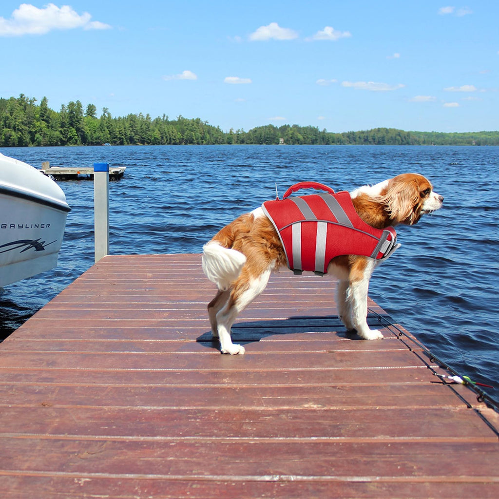Dog Life Jacket with Reflective Stripes - Adjustable High Visibility Vest, Ripstop Lifesaver, Pet Preserver with High Flotation Swimsuit