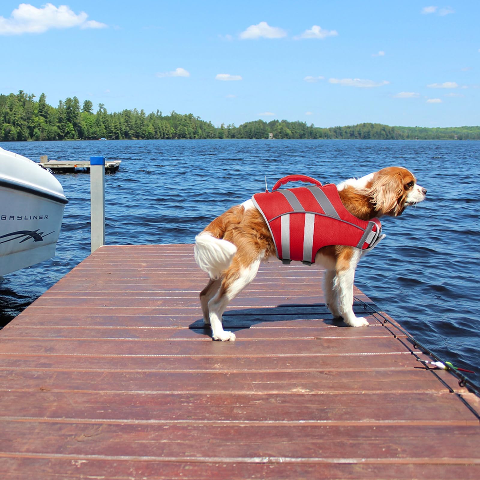 Dog Life Jacket with Reflective Stripes - Adjustable High Visibility Vest, Ripstop Lifesaver, Pet Preserver with High Flotation Swimsuit