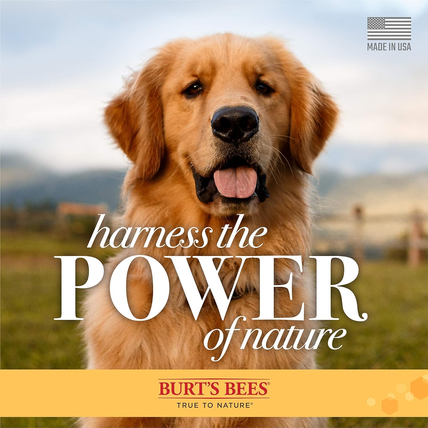 Burt's Bees for Pets Oatmeal Shampoo for Dogs with Colloidal Oat Flour and Honey - Skin Soothing Dog Oatmeal Shampoo, Moisturizing Dog Wash for Itchy Dry Skin, Essential Grooming Supplies, 16 Fl Oz