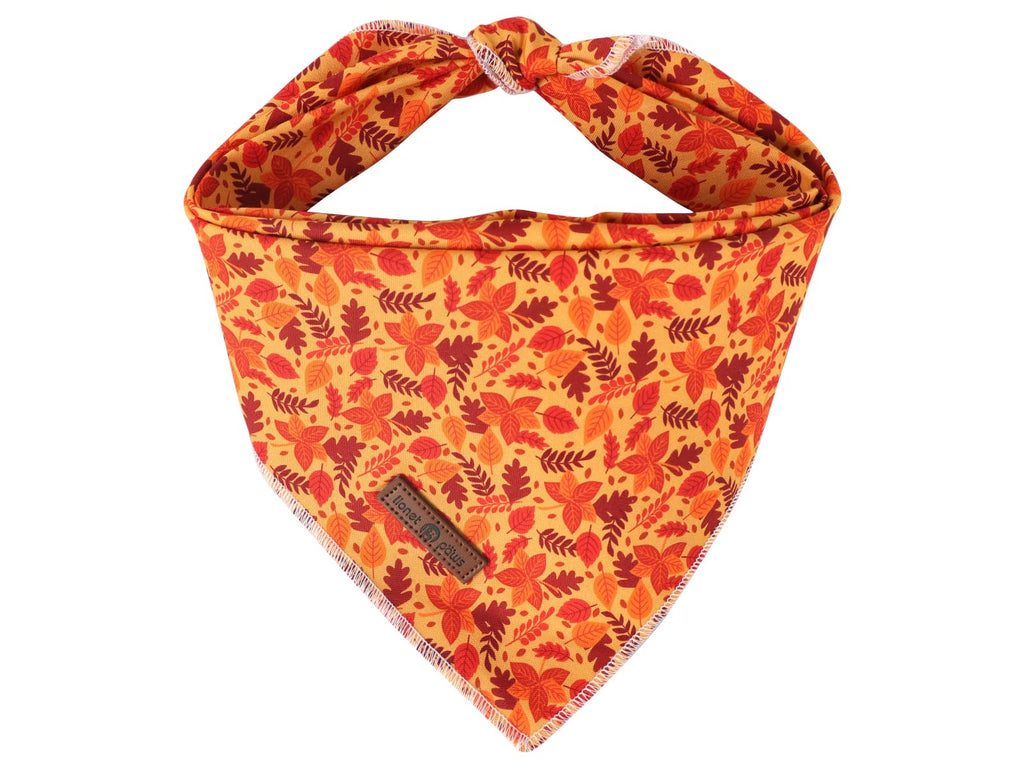 Paws Dog Bandana for Small Medium Large Dogs, Cat Kerchief Blue DOIT, Triangle Bibs Scarf for Girl or Boy