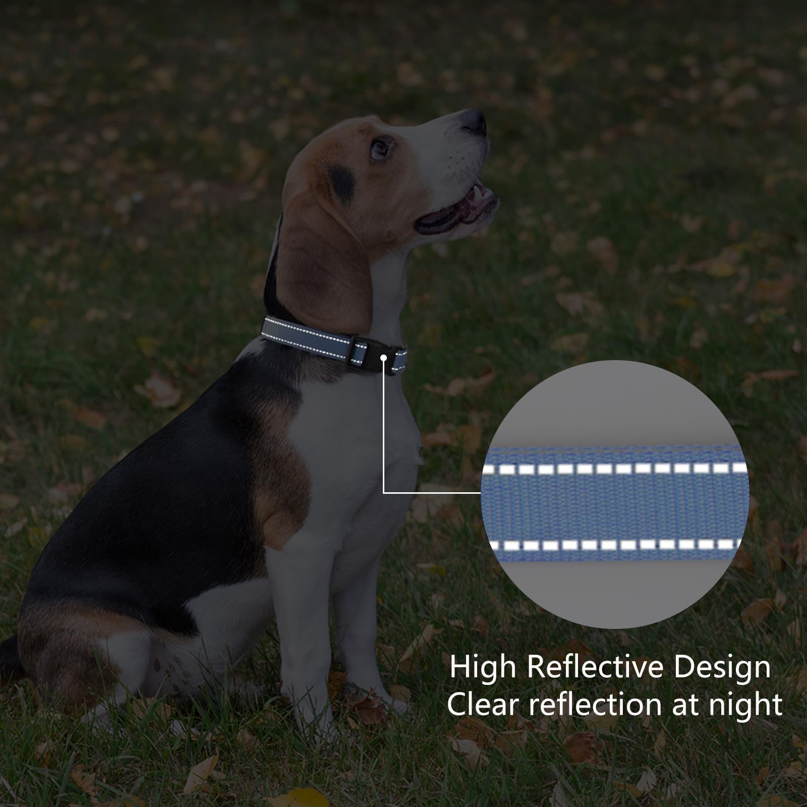 Reflective Dog Collar Padded with Soft Neoprene Breathable Quick Release Basic Dog Collars