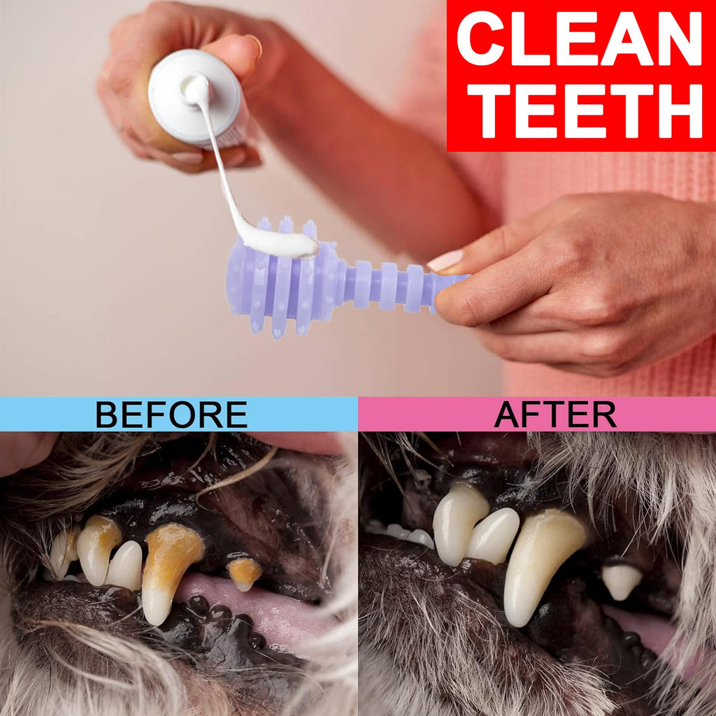 6 Pack Red Dog Chew Toys, Small Dog Teething Toys, Dental Health & Interactive Play