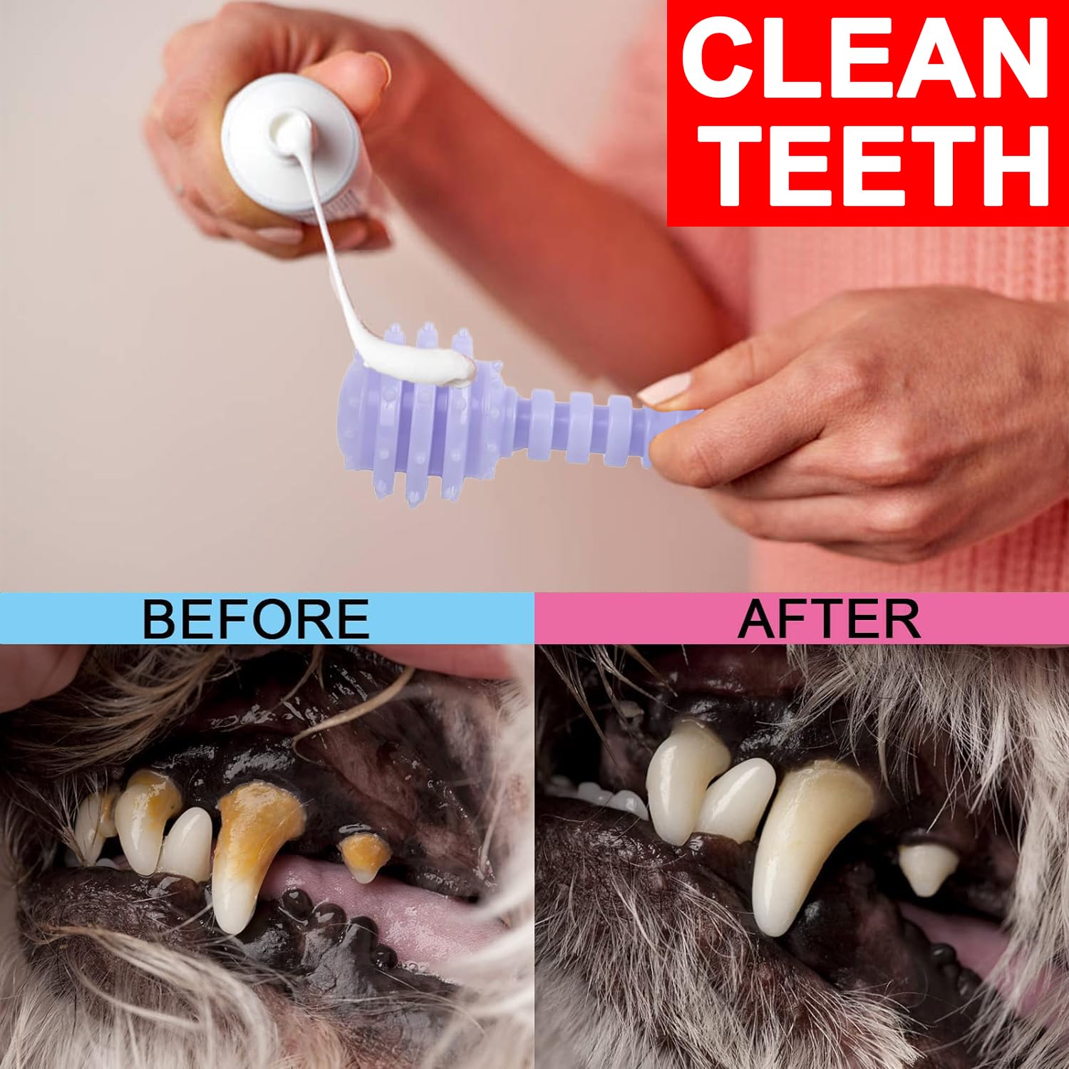 6 Pack Red Dog Chew Toys, Small Dog Teething Toys, Dental Health & Interactive Play