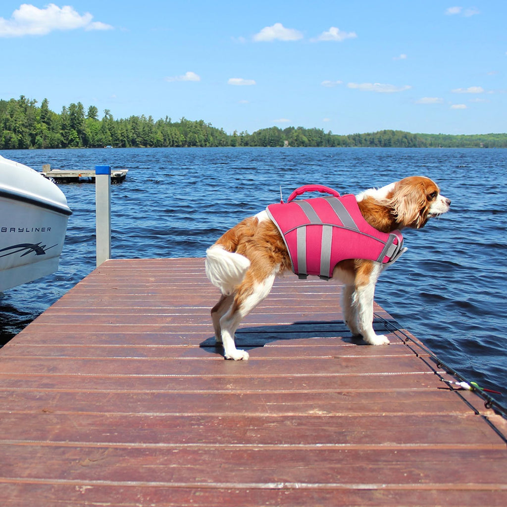 Dog Life Jacket with Reflective Stripes - Adjustable High Visibility Vest, Ripstop Lifesaver, Pet Preserver with High Flotation Swimsuit
