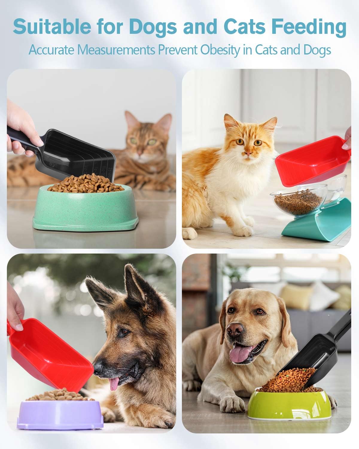 2 Cup Dog Food Scoop(2 Pack)