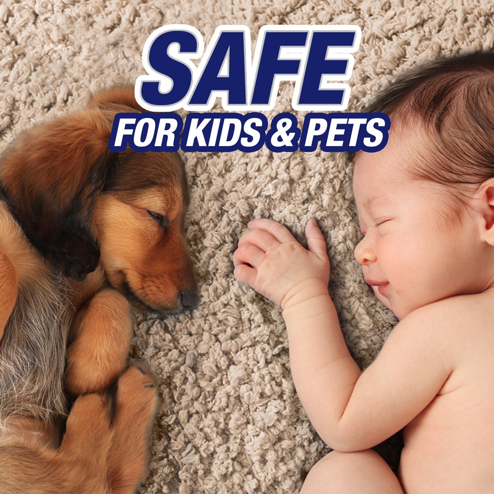 Resolve Pet Expert Stain and Odor Remover, Carpet Cleaner, Pet Stain and Odor Remover, Carpet & Upholstery Cleaner - Removes Stains and Odors, 22 oz