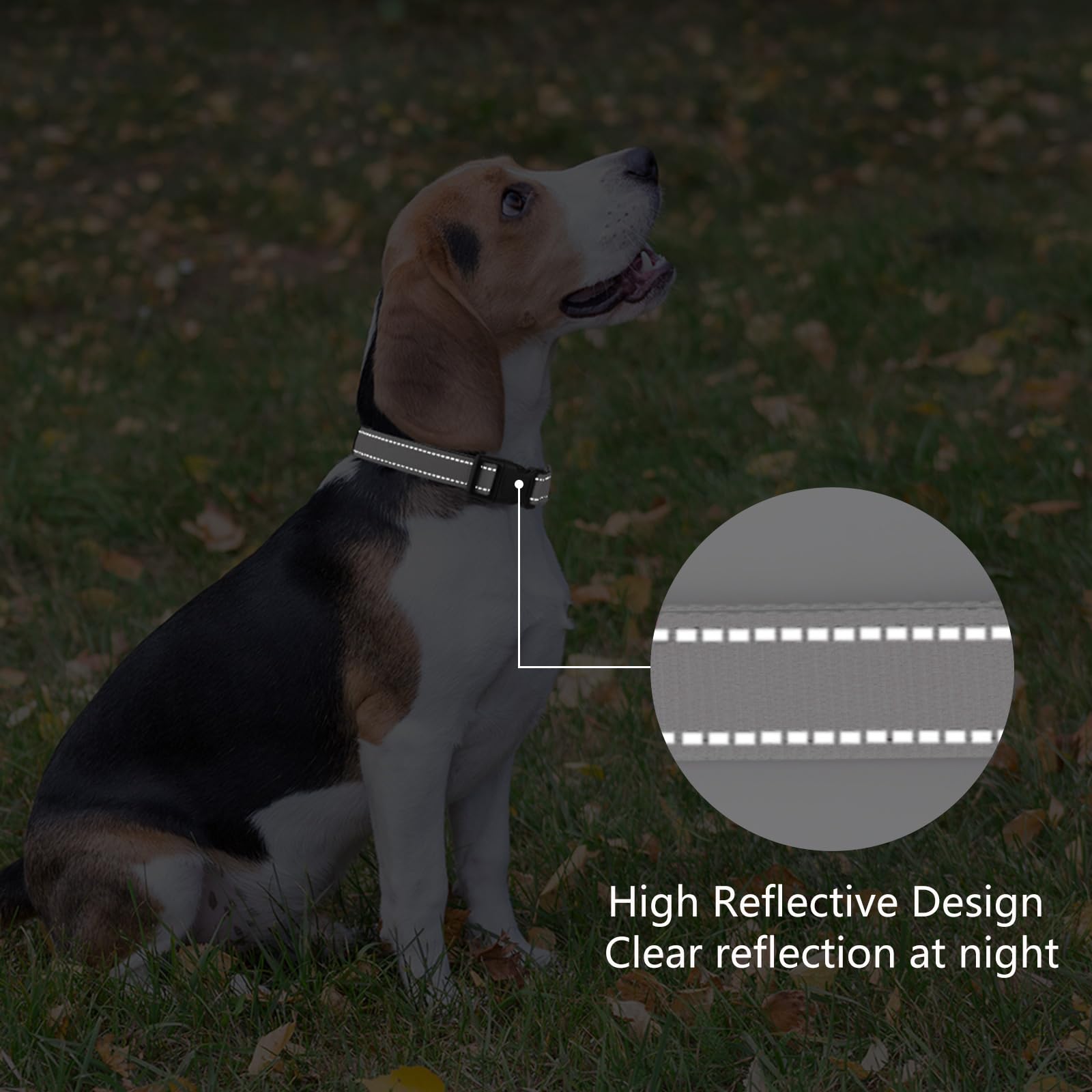 Reflective Dog Collar Padded with Soft Neoprene Breathable Quick Release Basic Dog Collars