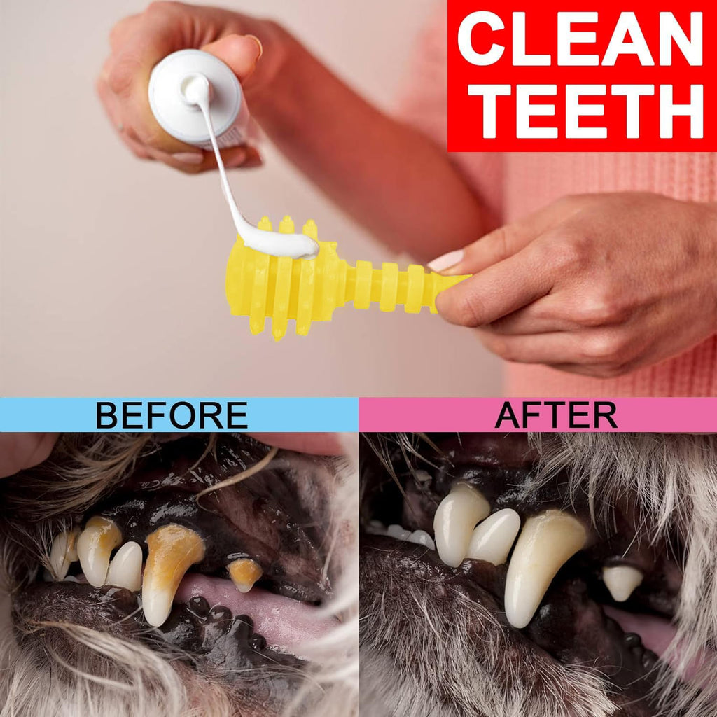 6 Pack Red Dog Chew Toys, Small Dog Teething Toys, Dental Health & Interactive Play