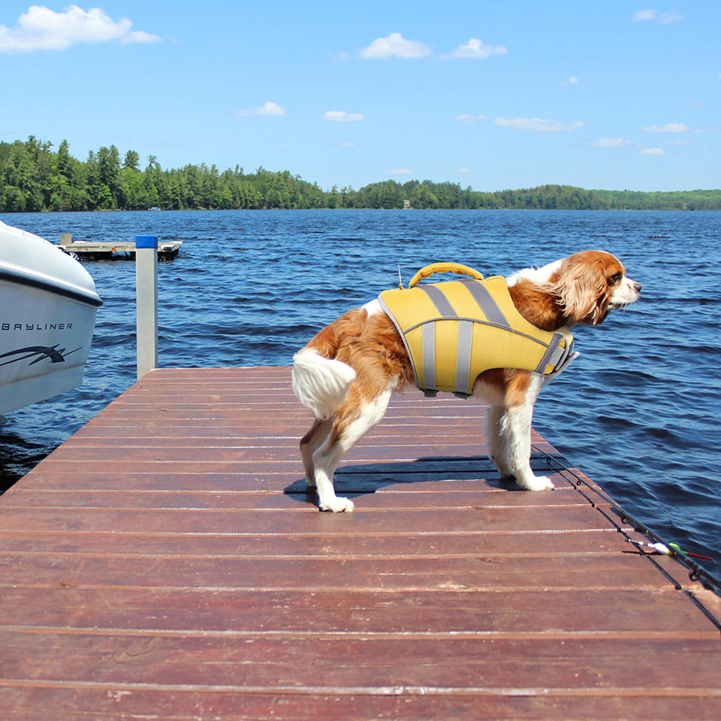 Dog Life Jacket with Reflective Stripes - Adjustable High Visibility Vest, Ripstop Lifesaver, Pet Preserver with High Flotation Swimsuit