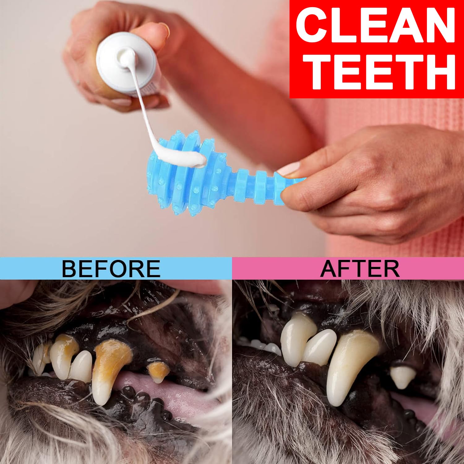 6 Pack Red Dog Chew Toys, Small Dog Teething Toys, Dental Health & Interactive Play