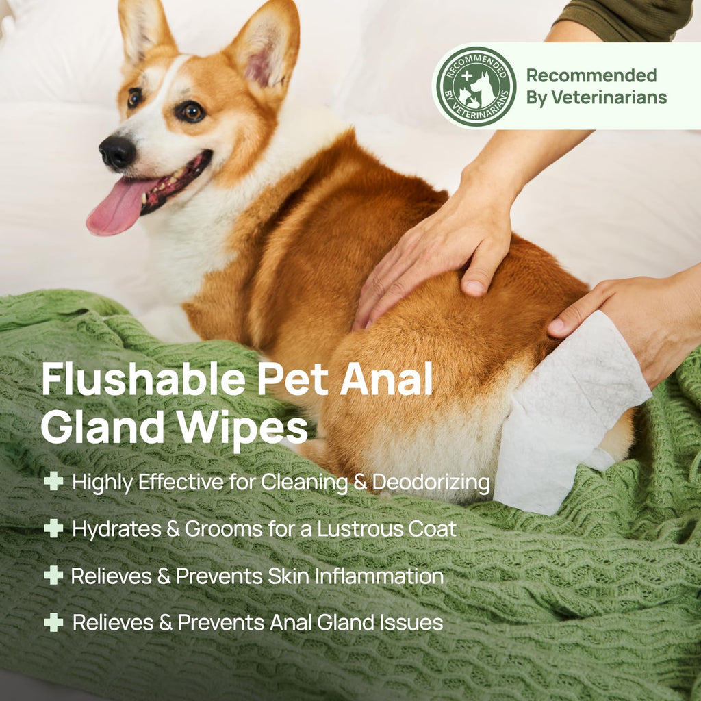 HICC PET Wipes for Dogs & Cats, Cleansing Deodorizing & Soothing Allergy Infections Anal Gland Pets Wipes with Coconut Oil - Dog Grooming Wipes for Butt and Paw - Hypoallergenic & Vet Recommended