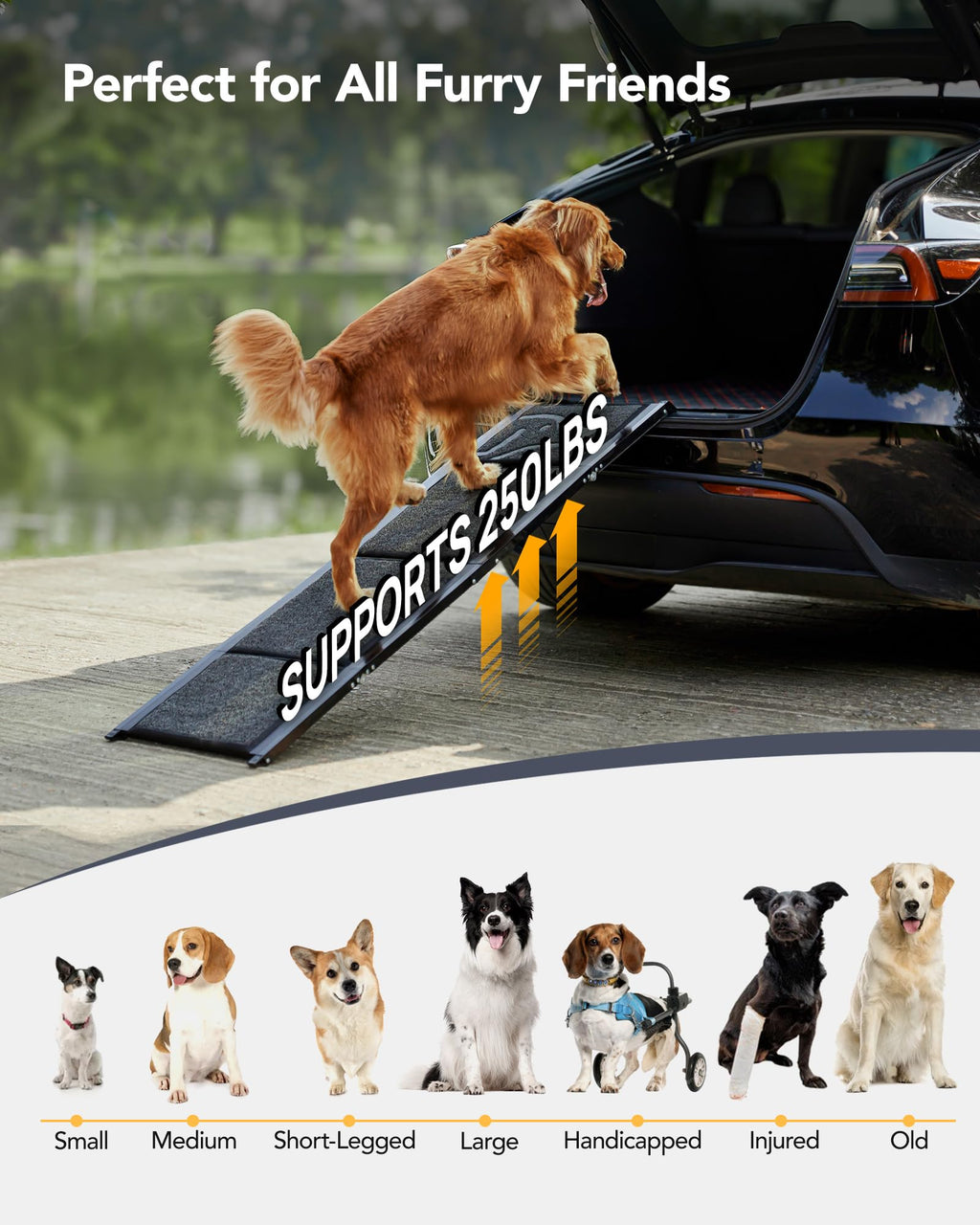 Dog Ramp for Car 63" Long & 17" Wide Portable Dog Ramps for Large Dogs with Non-Slip Rug Surface Dog Car Ramp for SUV Car & Truck, Folding Dog Ramp Up to 250LBS