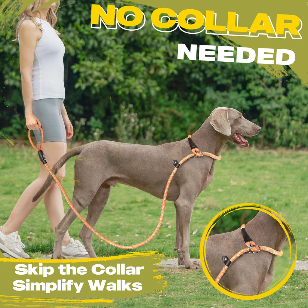 Durable Slip Lead Dog Leash, Heavy Duty Dog Loop Leashes, Comfortable Strong Rope Slip Leash for Large Medium Dogs, No Pull Pet Training Lead with Highly Reflective