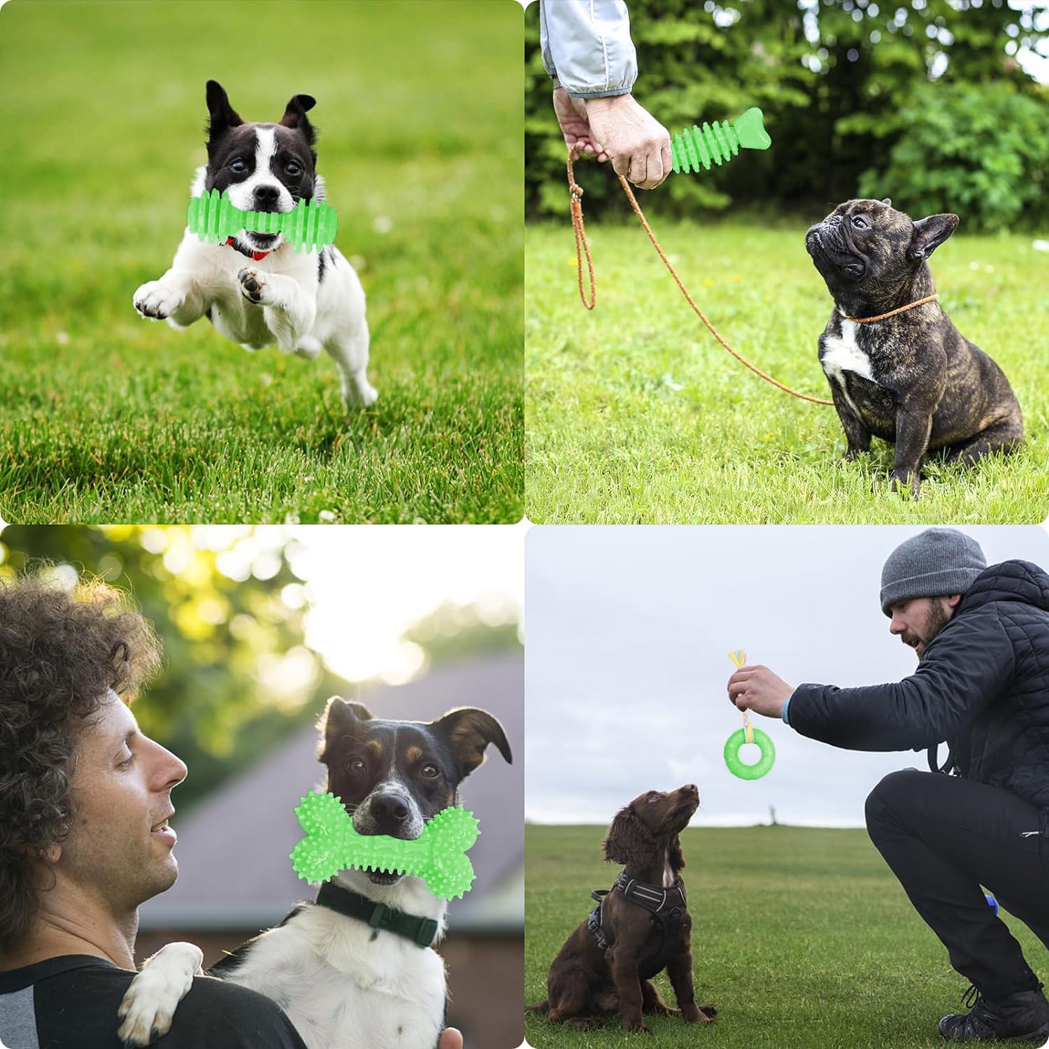 6 Pack Red Dog Chew Toys, Small Dog Teething Toys, Dental Health & Interactive Play