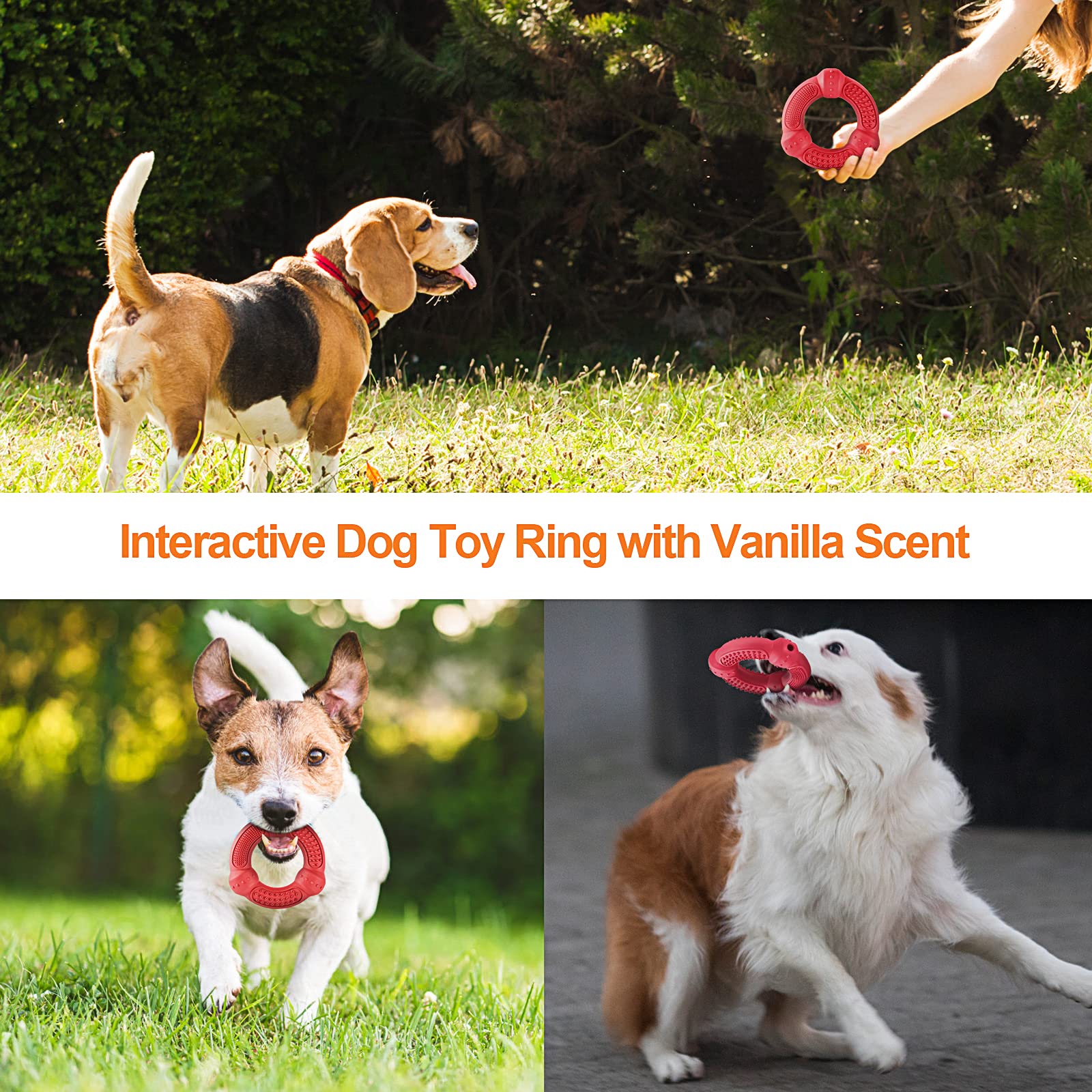 Dog Chew Toys 3 Pack for Aggressive Chewers, Multifunctional Teeth Cleaning and Gum Massage, Tough Toys with Natural Rubber for Large and Medium Dog