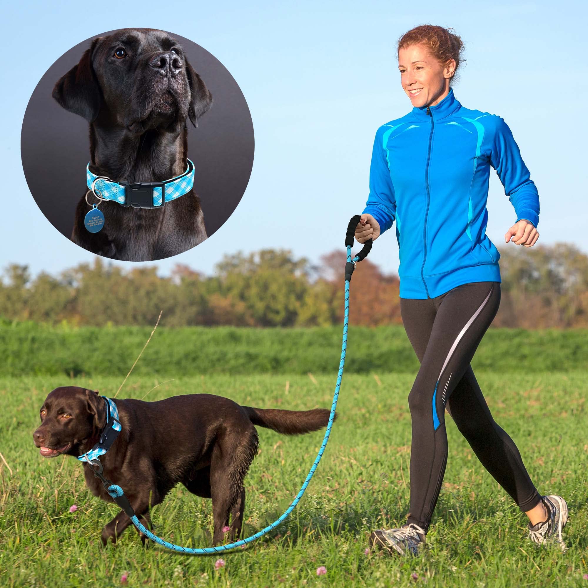 Reflective Dog Collar Padded with Soft Neoprene Breathable Adjustable Nylon Dog Collars for Small Medium Large Dogs (Medium (Pack of 1), Vivid Blue Collar+Leash)