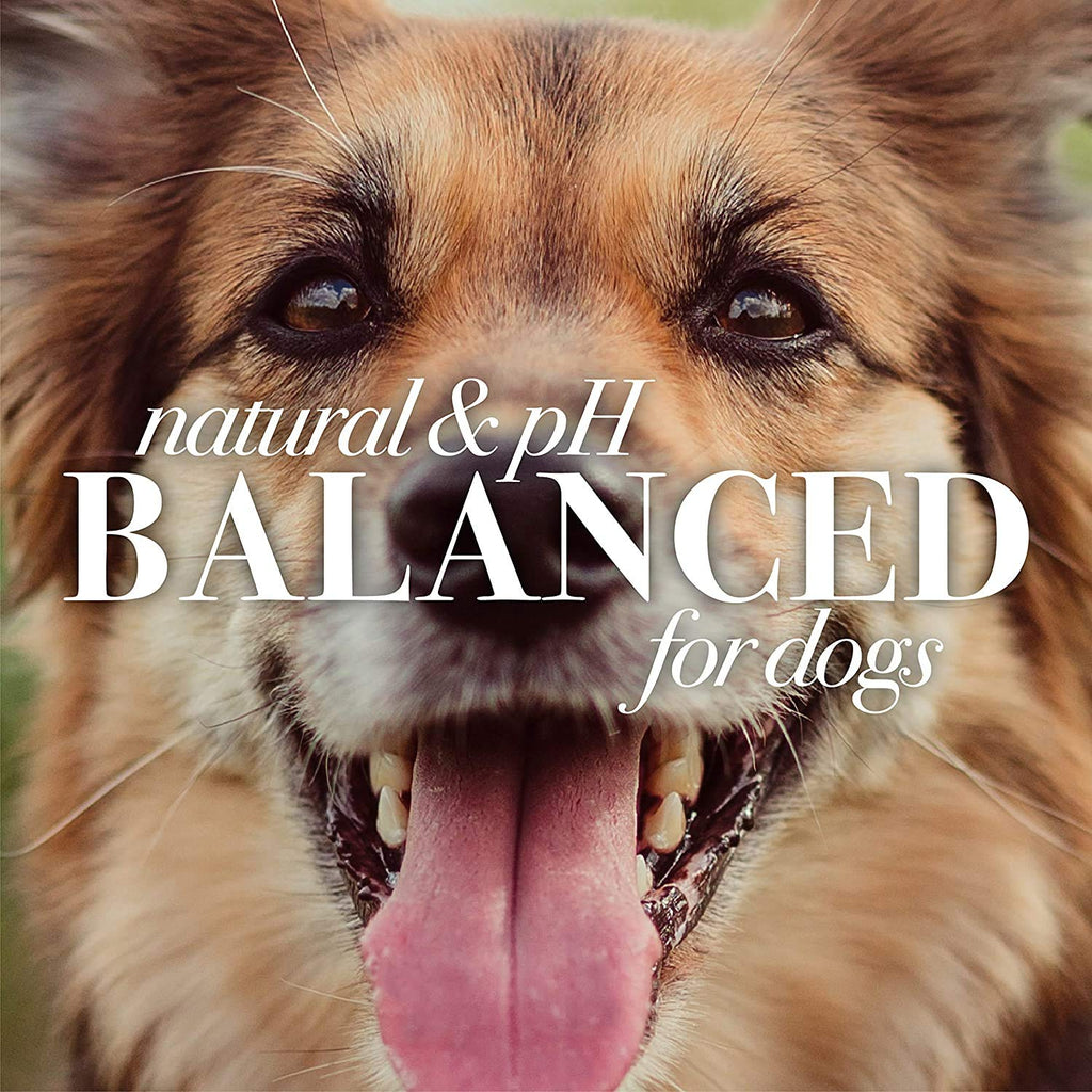 Burt's Bees for Pets Oatmeal Dog Conditioner with Colloidal Oat Flour & Honey - Soothing Relief Conditioner for Dogs, Gentle Dog Hair Conditioner for Oatmeal Bath, Grooming Supplies, 10 Fl Oz