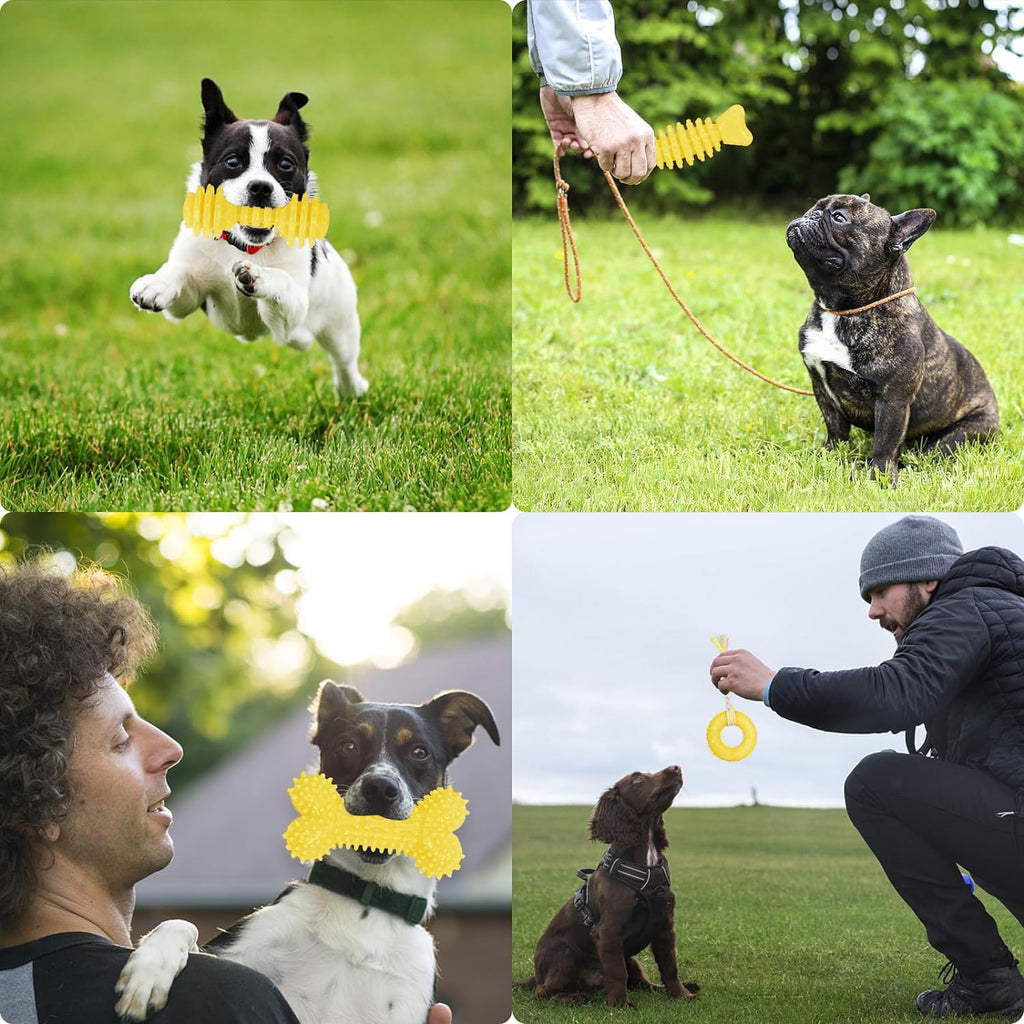 6 Pack Red Dog Chew Toys, Small Dog Teething Toys, Dental Health & Interactive Play