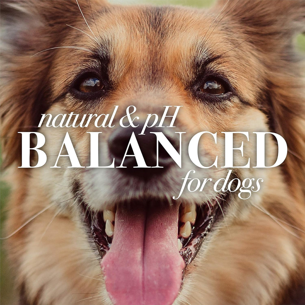 Burt's Bees for Pets Oatmeal Shampoo for Dogs with Colloidal Oat Flour and Honey - Skin Soothing Dog Oatmeal Shampoo, Moisturizing Dog Wash for Itchy Dry Skin, Essential Grooming Supplies, 16 Fl Oz