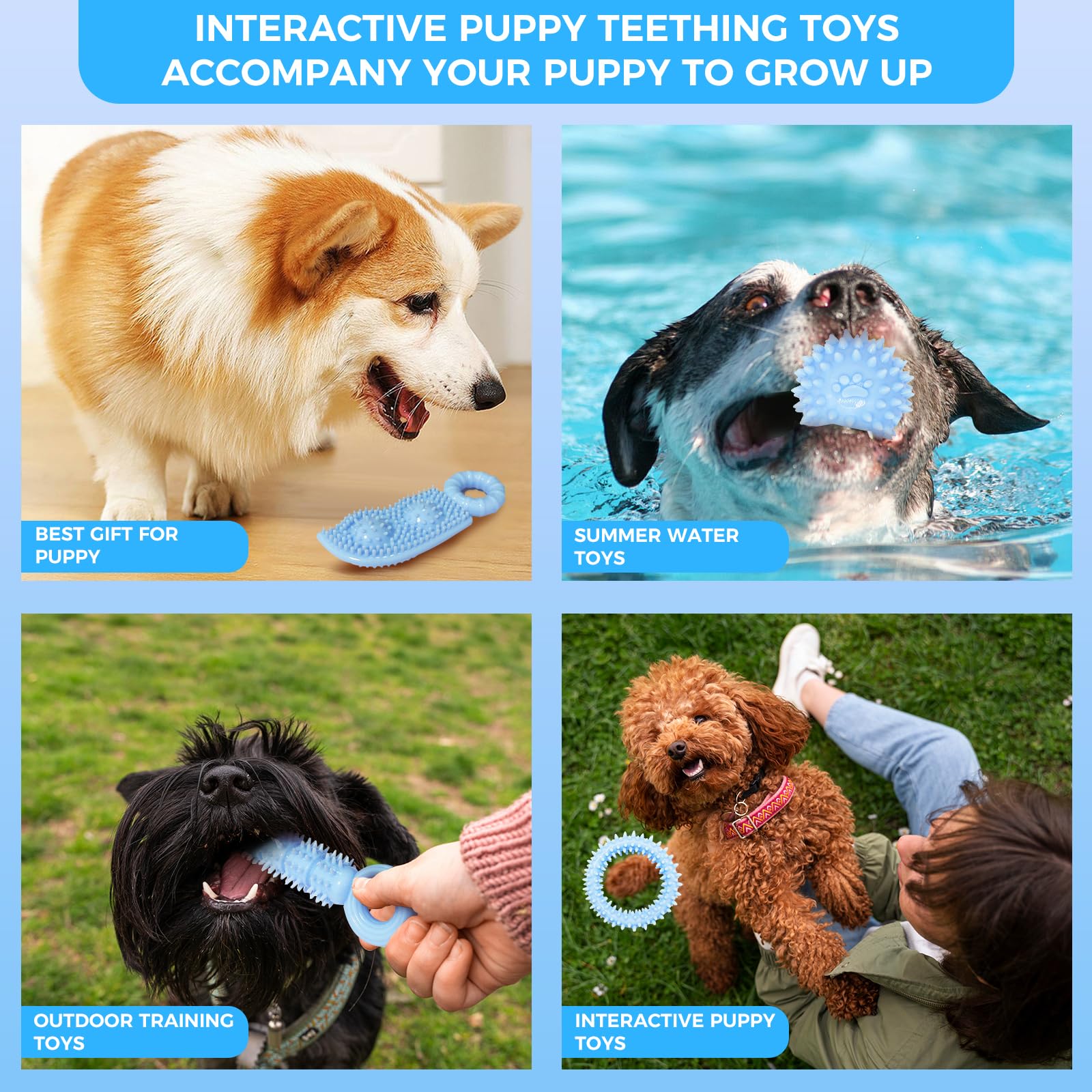 6 Pack Red Dog Chew Toys, Small Dog Teething Toys, Dental Health & Interactive Play