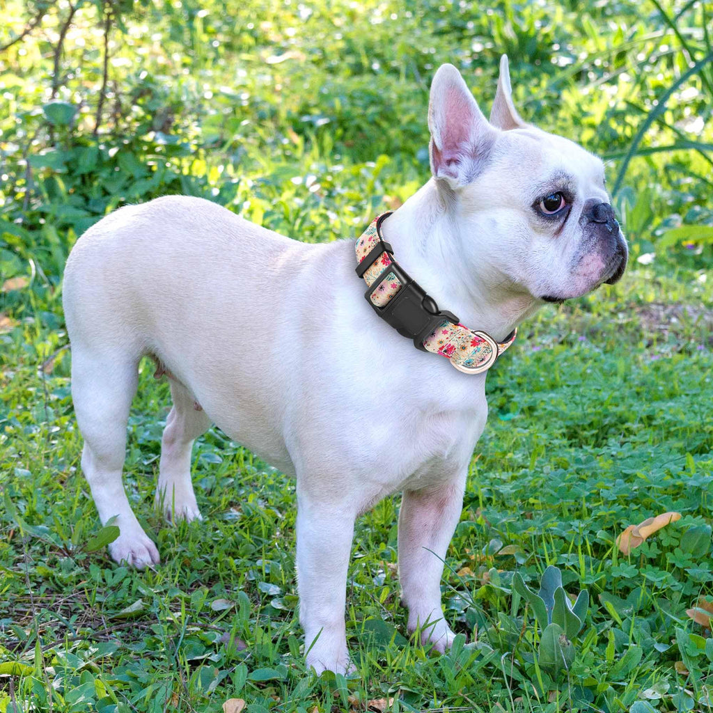 Reflective Dog Collar Padded with Soft Neoprene Breathable Adjustable Nylon Dog Collars for Small Medium Large Dogs (Medium (Pack of 1), Vivid Blue Collar+Leash)