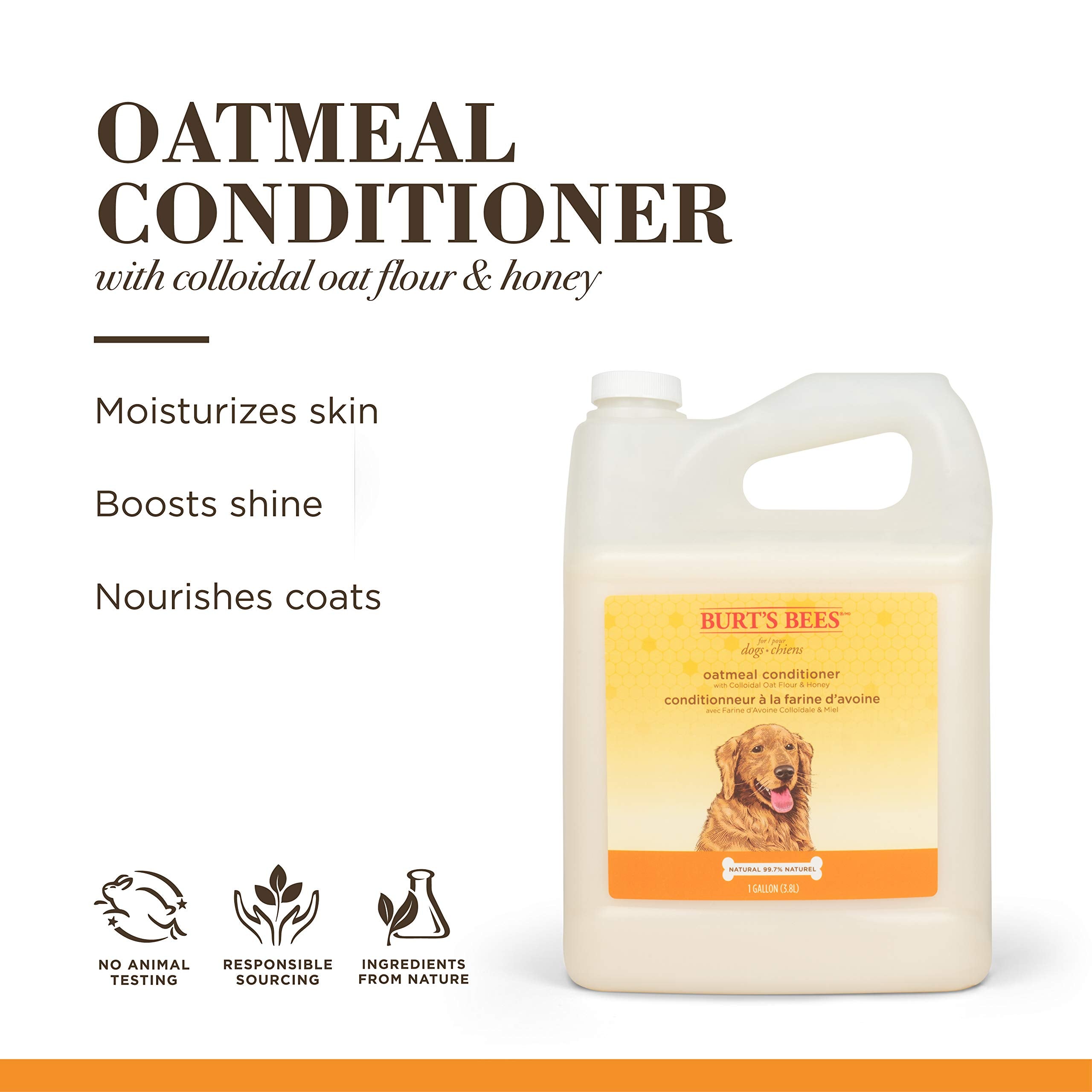 Burt's Bees for Pets Oatmeal Dog Conditioner with Colloidal Oat Flour & Honey - Soothing Relief Conditioner for Dogs, Gentle Dog Hair Conditioner for Oatmeal Bath, Grooming Supplies, 10 Fl Oz