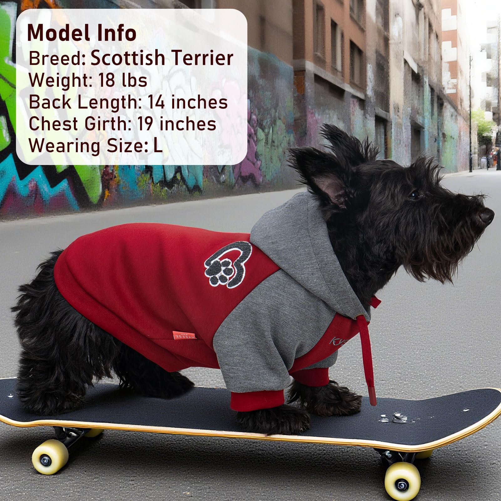 Premium Dog Hoodie Stretchy Pet Sweatshirt with Drawstring Soft Dog Clothes for Small Dogs Dogs Winter Coat for Cold Weather Warm Pet Clothes Comfort Cat Sweater Cat Coat with Leash Hole