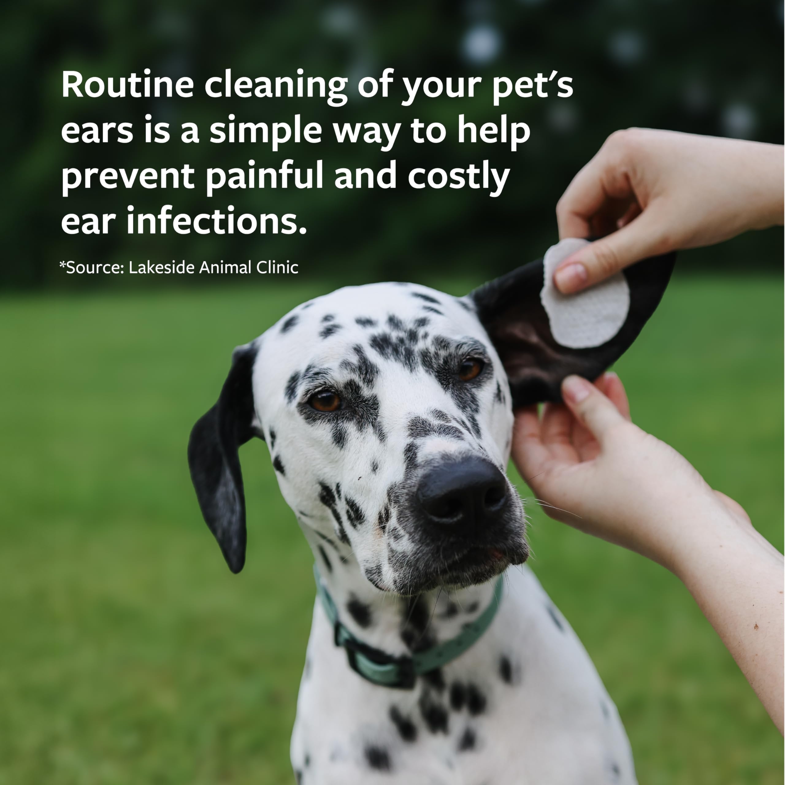 Veterinary Formula Clinical Care Ear Therapy, 8 oz. – Cat and Dog Ear Cleaner – Helps Soothe Itchiness and Clean The Ear Canal of Debris and Buildup