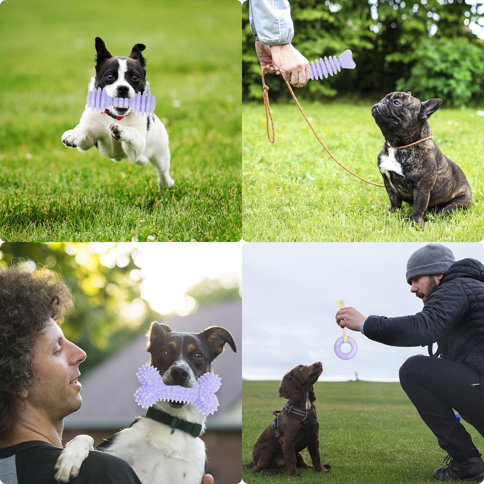 6 Pack Red Dog Chew Toys, Small Dog Teething Toys, Dental Health & Interactive Play